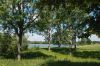 09_AsseltNL