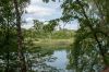 12_Waldsee-Baerler_Busch