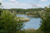 13_Waldsee-Baerler_Busch